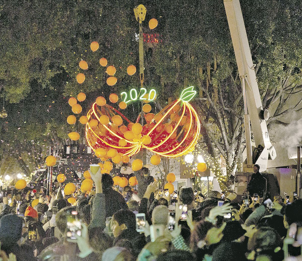 2020 Orange Drop.
